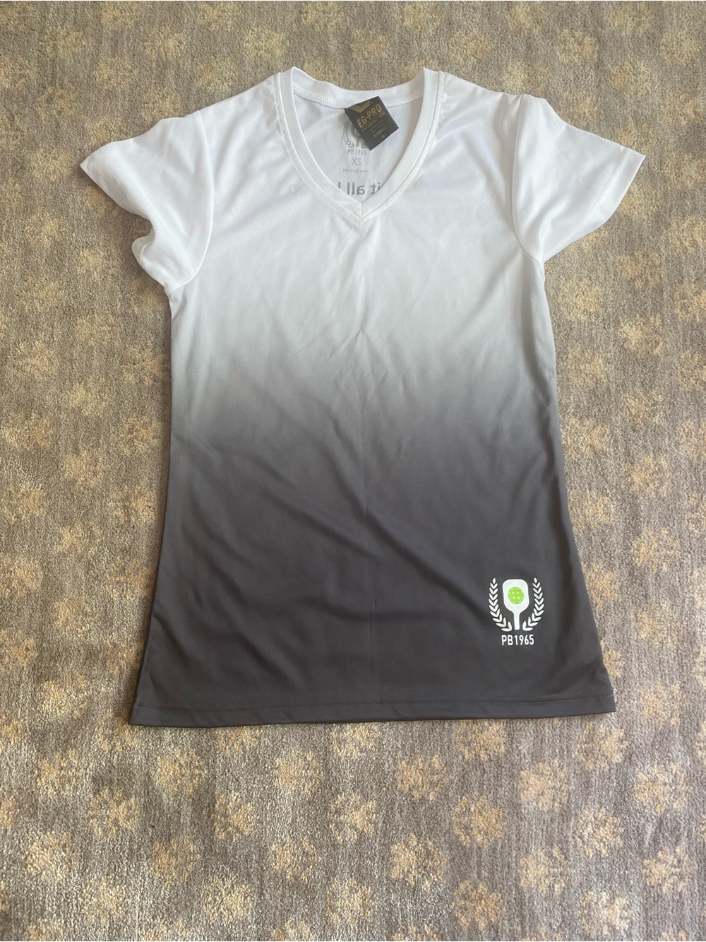 Women's Ombre V-Neck Tee in White to Gray